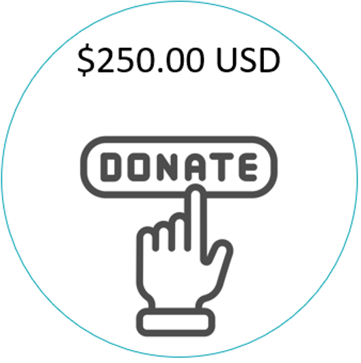 Donation $250.00 Image
