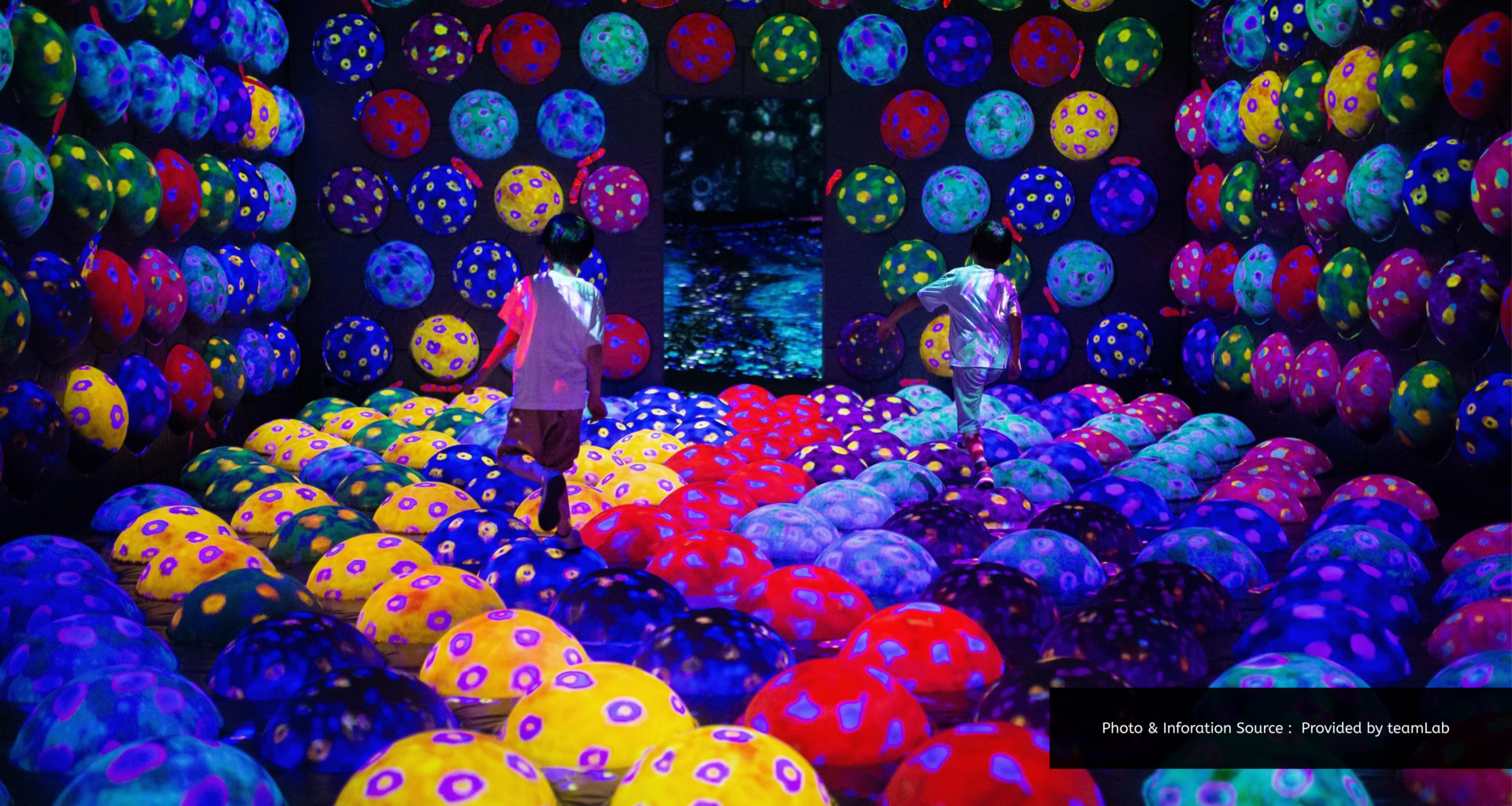 TeamLab Forest